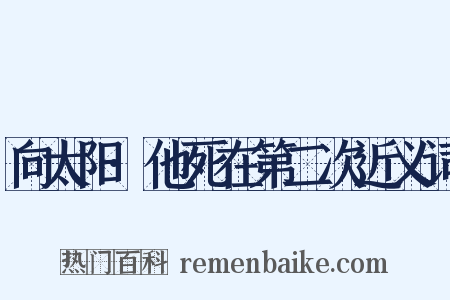 向太阳·他死在第二次近义词是什么意思的图片